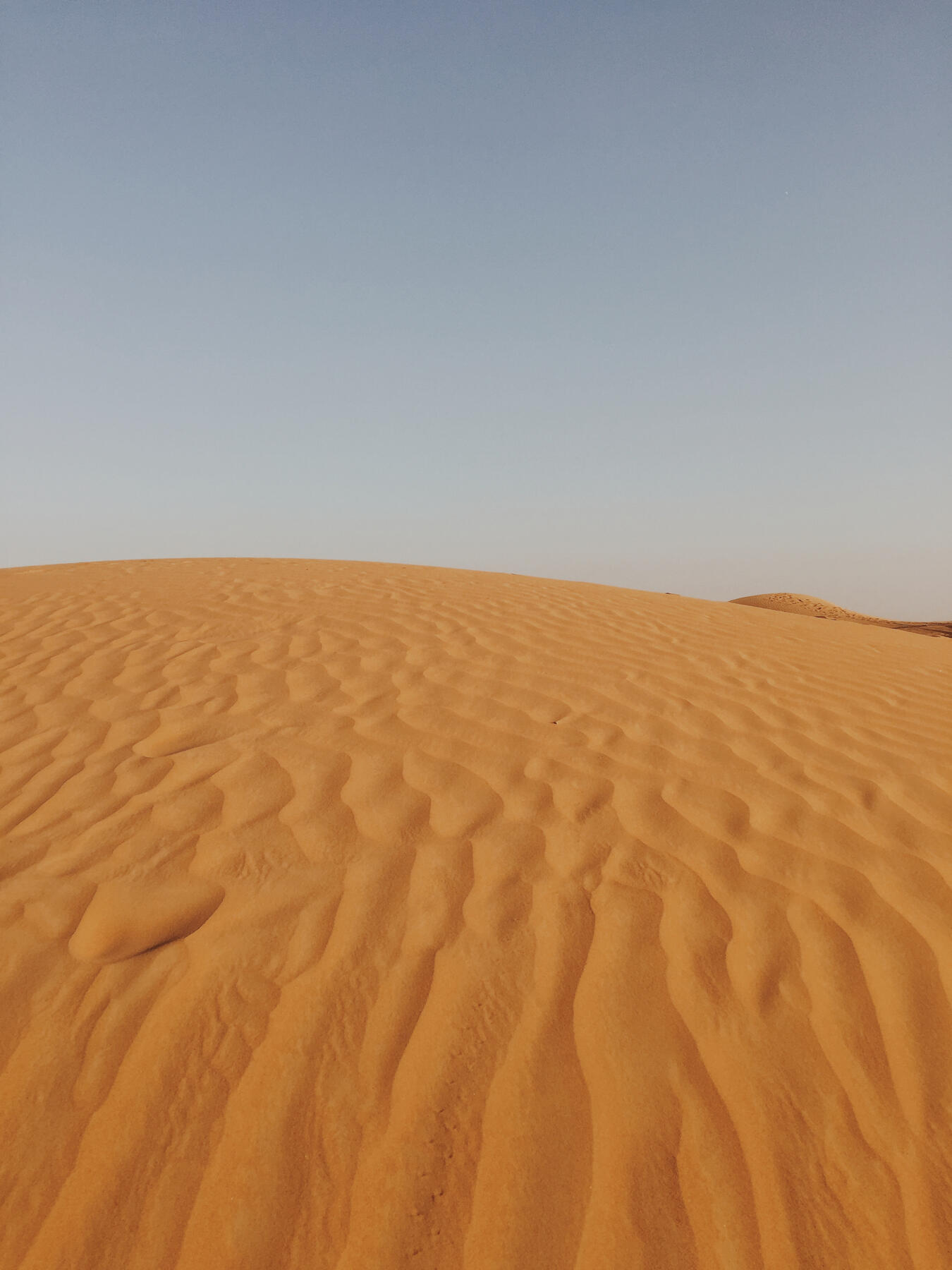 Desert Safari Desert Safari