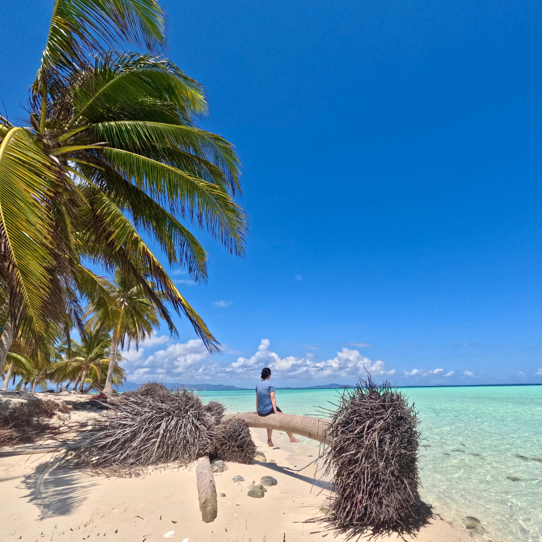 Mel Monte - Freelance Graphic Designer, Dubai